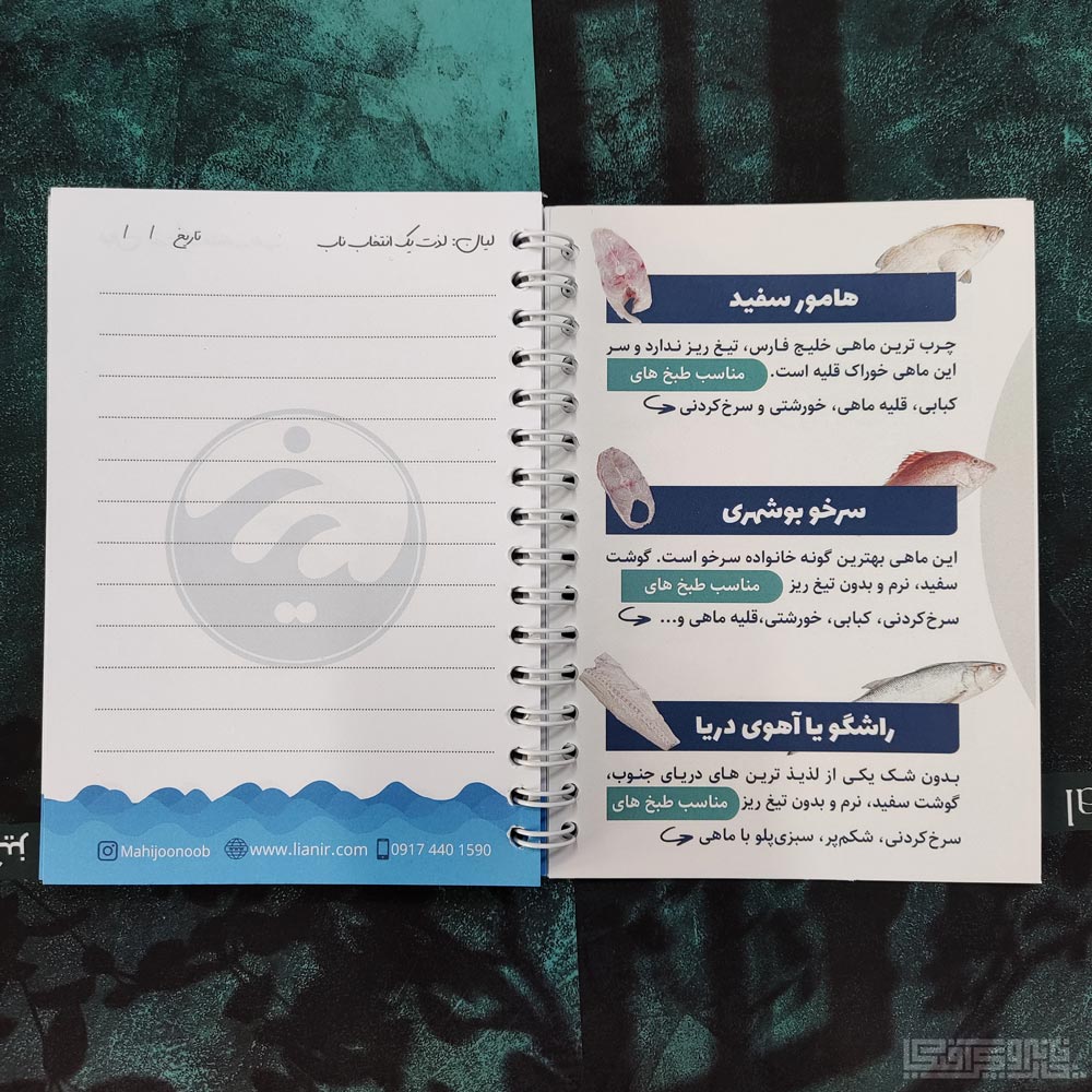 دفترچه-تبلیغاتی-جلد-گلاسه-داخلی-تحریر-رنگی