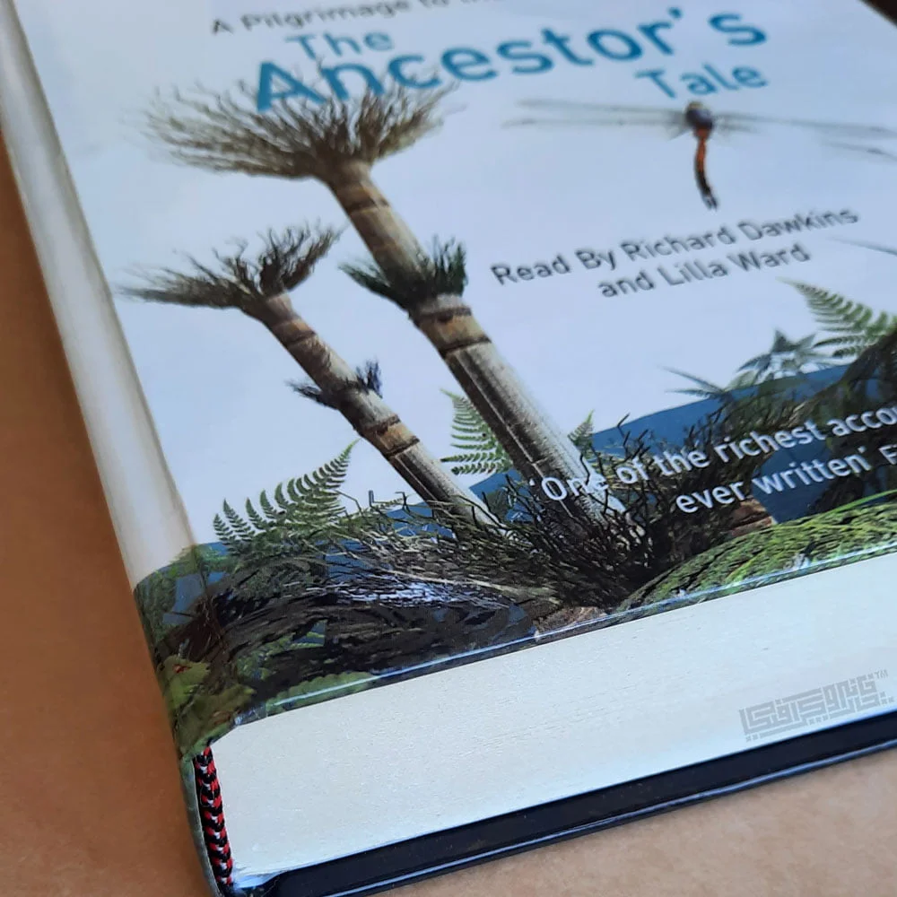 صحافی-جلد-سخت-سلفونی صحافی جلد سخت سلفونی